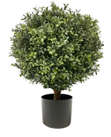 De Kunst Buxus op stam UV 40 cm is een ronde, bossige groene vorm met dichte bladeren in een eenvoudige zwarte pot, tegen een effen witte achtergrond.