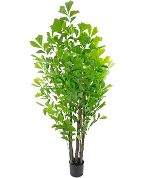 De Kunstplant Fishtailpalm 210 cm heeft weelderig groen blad met meerdere lange stelen en brede, puntige bladeren in een kleine zwarte pot, tegen een witte achtergrond.