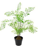 De Kunstplant Varen 35 cm is een kunstvaren met heldergroene, waaiervormige bladeren op slanke zwarte stelen, tegen een effen witte achtergrond.