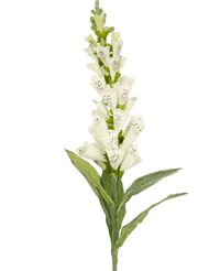 Künstliche Blume Fingerhut 90 cm weiß