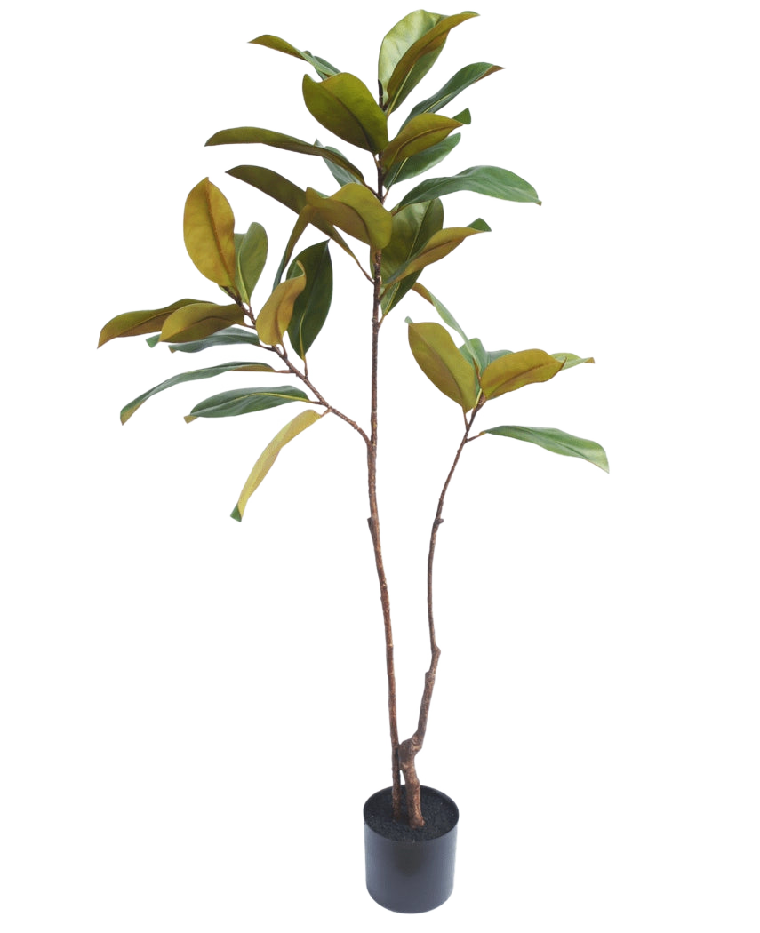Der künstliche Yulania-Baum 120 cm hat schlanke braune Stämme und breite grün-gelbe Blätter, die realistisch aussehen und jeden Raum vor einem schlichten weißen Hintergrund aufwerten.