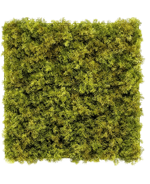 De Kunsthaag Nordic Mos 50x50 cm UV is een vierkant paneel dat dicht bedekt is met weelderig groen mos op een witte achtergrond, waardoor een getextureerde, natuurlijke look ontstaat die perfect is voor chique interieurs.