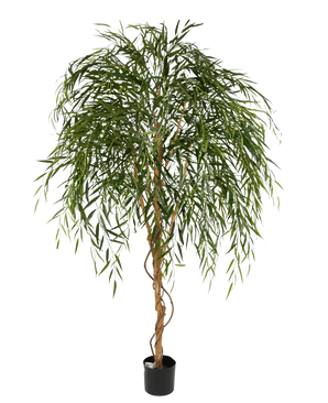 De Kunst Wilgenboom 210 cm is een hoge kunstplant in pot met lange, slanke groene bladeren en een gedraaide bruine stam, tegen een witte achtergrond.
