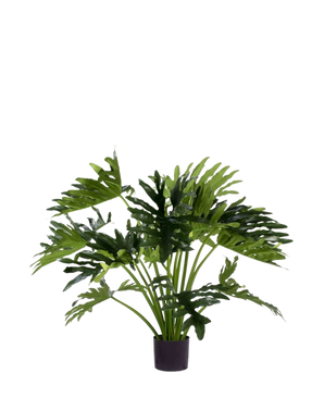 De Kunstplant Philodendron UV 90 cm heeft grote, glanzende, diep gelobde groene bladeren op meerdere stelen - ideaal als weelderige, onderhoudsvrije kamerplant om elke ruimte op te fleuren.