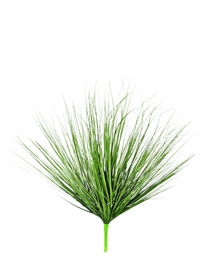 Die 70 cm große, feuerhemmende Kunstrasenpflanze Zwiebel hat lange, dünne, grüne, grasähnliche Blätter, die aus einem einzigen Stiel wachsen, vor einem schlichten weißen Hintergrund.