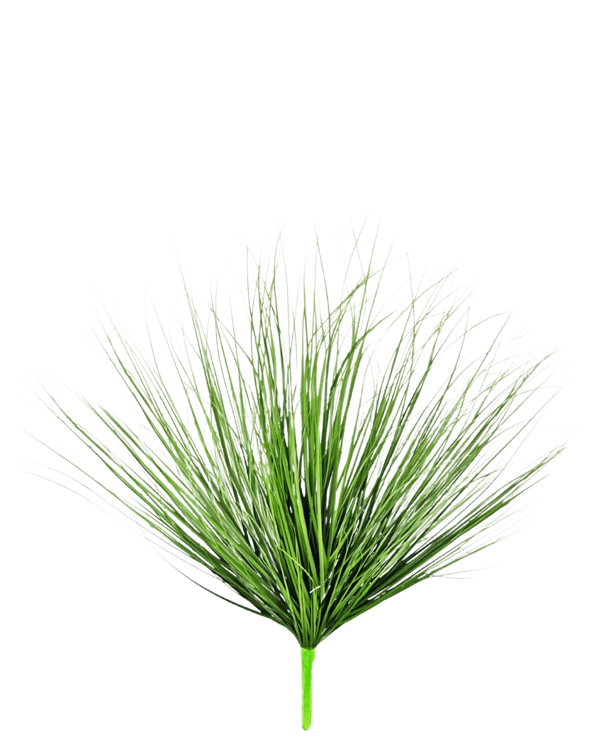 Die 70 cm große, feuerhemmende Kunstrasenpflanze Zwiebel hat lange, dünne, grüne, grasähnliche Blätter, die aus einem einzigen Stiel wachsen, vor einem schlichten weißen Hintergrund.