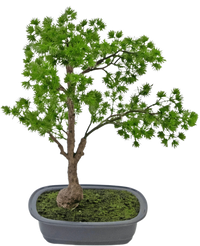 Künstliche Pflanze Bonsai Wacholder 40 cm