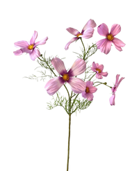 Künstliche Blume Cosmos 74 cm rosa