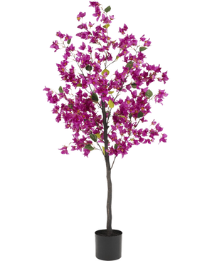 De Kunstplant Bougainvillea 150 cm Paars heeft een hoge, slanke stam met levendige paarse bloemen en groene bladeren, in een eenvoudige zwarte pot tegen een witte achtergrond.