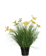 Die feuerhemmende Kunstrasenpflanze Asteraceae 70 cm hat lange, dünne grüne Blätter und Büschel kleiner gelber Blüten in einem schwarzen Topf, eine pflegeleichte Kunstrasenpflanze vor einem schlichten weißen Hintergrund.