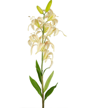 Een enkele hoge Kunstbloem Martagon Lelie 78 cm roze met roze leliebloemen en groene bladeren tegen een effen witte achtergrond; sommige bloemen zijn open terwijl twee knoppen aan de bovenkant gesloten blijven.
