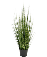 Der Kunstrasen-Zwiebelgraszweig Zebra ist eine 56 cm große, feuerhemmende Kunstpflanze mit langen, schmalen grünen Blättern und hellgrünen Streifen, die aufrecht in einem kleinen schwarzen Topf vor einem weißen Hintergrund steht.