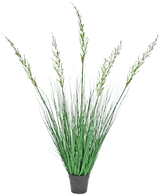De Kunst Grasplant Tarwe 120 cm brandvertragend in een pot heeft hoge, rechtopstaande bladeren en bloeistengels, waardoor hij ideaal is voor een groene inrichting. Deze onderhoudsvrije plant voegt stijlvol groen toe tegen een witte achtergrond.