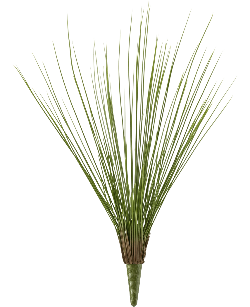 Die Kunstrasenpflanze Royal Grass UV 60 cm hat hohe, dünne, grüne Kunstrasenstiele, die an der Basis gebündelt sind und sich nach außen fächern, vor einem schlichten weißen Hintergrund.