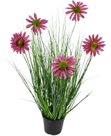 Die feuerhemmende Kunstrasenpflanze Chrysantheme 60 cm hat lange, dünne grüne grasähnliche Blätter und sechs rosa Chrysanthemenblüten mit einem gelben Herzen in einem schwarzen Topf vor einem schlichten weißen Hintergrund.