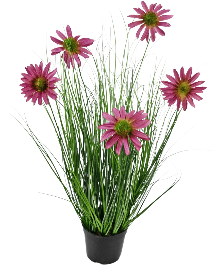 Die feuerhemmende Kunstrasenpflanze Chrysantheme 60 cm hat lange, dünne grüne grasähnliche Blätter und sechs rosa Chrysanthemenblüten mit einem gelben Herzen in einem schwarzen Topf vor einem schlichten weißen Hintergrund.