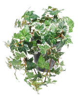 De Kunst Klimop Deluxe groen-wit in pot 22 cm UV heeft groen en wit bonte Engelse klimop die over een grijze pot cascadeert tegen een witte achtergrond.