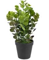 De Kunstplant Vicks 33 cm is een kleine, groene kunstplant met ronde bladeren in een matzwarte pot, tegen een effen witte achtergrond.