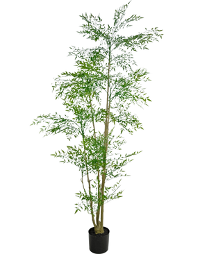 De Kunstplant Ruscus 210 cm is een hoge kunstplant met slanke groene bladeren en meerdere dunne, bruine stengels in een kleine zwarte pot, tegen een effen witte achtergrond.
