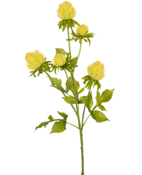 Künstliche Blume Distel 66 cm creme