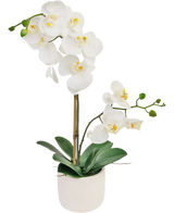 De Kunst Orchidee Real Touch 60 cm wit heeft delicate witte bloemen, groene knoppen en brede groene bladeren, ondersteund door een dunne staak in een kleine witte pot.
