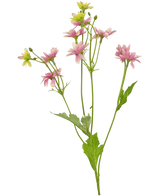 De Kunstbloem Madelief 55 cm roze is een kunstbloem met een enkele groene steel met verschillende takken, elk versierd met delicate roze en witte margrietachtige bloemen en gekartelde groene bladeren, afgebeeld tegen een witte achtergrond.
