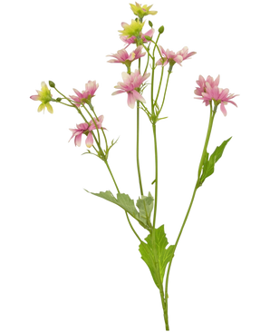 De Kunstbloem Madelief 55 cm roze is een kunstbloem met een enkele groene steel met verschillende takken, elk versierd met delicate roze en witte margrietachtige bloemen en gekartelde groene bladeren, afgebeeld tegen een witte achtergrond.