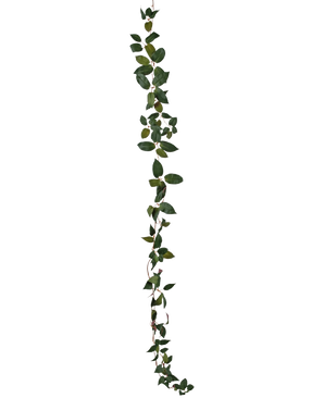 Die Art Tradescantia Garland Green 180 cm ist eine einzelne grüne Blattranke, die vertikal vor einem schlichten weißen Hintergrund abgebildet ist.