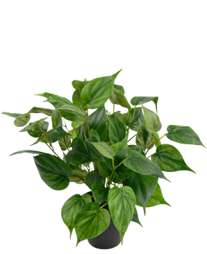 De Kunstplant Philodendron in pot 35 cm heeft hartvormige bladeren in verschillende tinten groen, wat zorgt voor een weelderige uitstraling tegen een effen witte achtergrond.