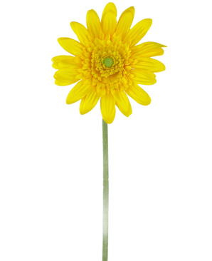 Die künstliche Blume Gerbera 53 cm gelb ist ein einzelnes gelbes künstliches Gänseblümchen mit einem grünen Herzen und einem langen grünen Stiel vor einem schlichten weißen Hintergrund.