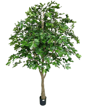 De Kunst Eikenboom 270 cm heeft een dikke bruine stam en weelderige groene bladeren in een zwarte pot, ideaal als onderhoudsvrije kunstboom binnen. Deze kunstplant is afgebeeld tegen een witte achtergrond.