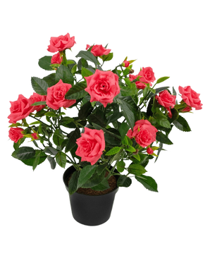 De Kunstplant mini roos UV 35 cm heeft een zwarte pot gevuld met een weelderige kunstrozenplant met meerdere bloeiende roze rozen en groene bladeren tegen een witte achtergrond.