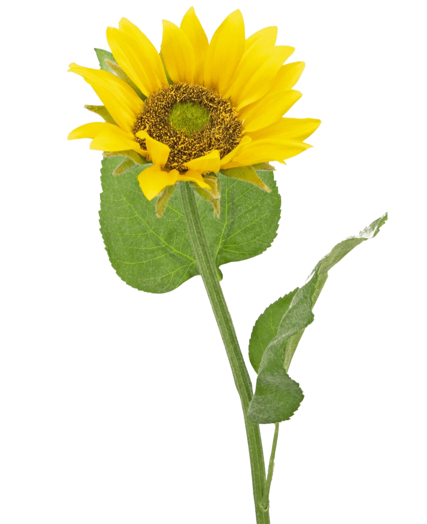Die künstliche Sonnenblume Deluxe 52 cm ist eine künstliche Sonnenblume mit leuchtend gelben Blütenblättern, einem dunkelbraunen Herzen und grünen Blättern an einem langen Stiel, fotografiert vor einem schlichten weißen Hintergrund.